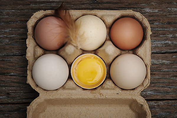 포토 JPG 해외이미지 디자인 종이 음식 백그라운드 재료 조류 부활절 오리 건조 건강 요리 사람없음 목재 상자 농장 갈색 노란색 주방 계란 식사 저녁식사 치킨 껍질 흰색 시골 신선 아침식사 먹기 깃털 에코 유기농 날것 패키지 노른자 내추럴 판지 점심식사 단백질 암탉 정물화 취급주의 해외포토 나무 동물 웰빙 기념일 컬러 농업 모션 경고 환경 알 닭 암컷 그림 닭고기요리 영양소 파일형식 이미지허브