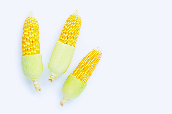 포토 JPG 해외이미지 실내 옥수수 사람없음 세개 흰배경 옥수수껍질 카피스페이스 해외포토 백그라운드 곡류 3 내부 공백 껍질 흰색 파일형식 이미지허브