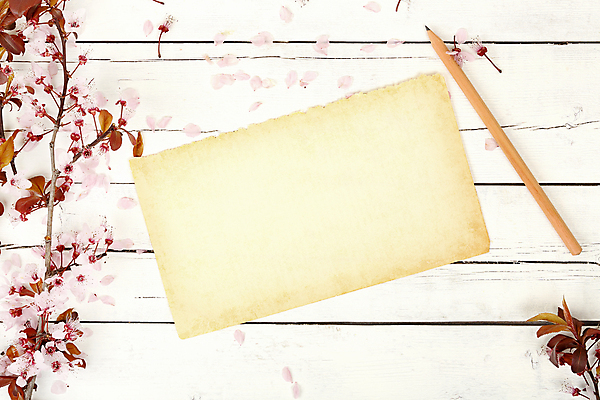 포토 JPG 해외이미지 계절 꽃잎 꽃 종이 분홍색 백그라운드 꽃무늬 자연 날씨 사람없음 목재 새싹 우주 쪽지 고요 봄 공백 벚꽃 흰색 나뭇가지 개화 메시지 순수 질감 페이지 아몬드 시트 옛날 카피스페이스 해외포토 나무 식물 컬러 컨셉 무늬 재료 견과류 생태계 파일형식 이미지허브