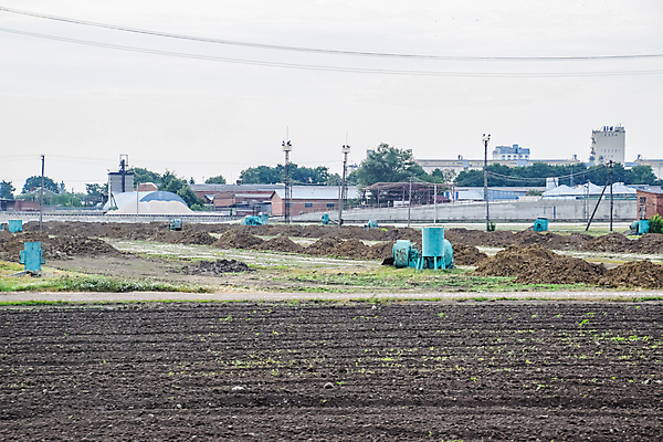 포토 JPG 해외이미지 모양 산업 벽 백그라운드 패턴 오렌지 건축양식 표면 추상 벽돌 새로움 주택 사람없음 야외 목재 빨간색 쌓기 블록 수확 바위 오픈 거친 상품 땅 질감 서식 날것 만들기 점토 진흙 수납 지하 옛날 줄서기 해외포토 나무 건축 컬러 컨셉 무늬 농업 과일 재료 모션 건물 돌_바위 파일형식 이미지허브