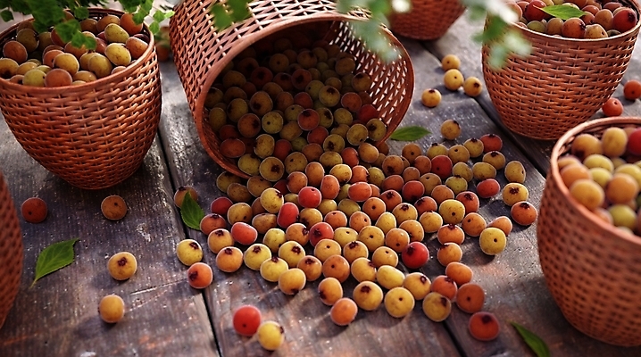 포토 JPG 해외이미지 음식 백그라운드 농업 다이어트 과일 재료 자연 디저트 건강 사람없음 파란색 햇빛 귀여움 맑음 수확 가을 신선 그룹 닫기 달콤 유기농 블루베리 날것 내추럴 환상 많음 해외포토 웰빙 계절 산업 컬러 컨셉 모션 날씨 태양 맛 생태계 파일형식 이미지허브