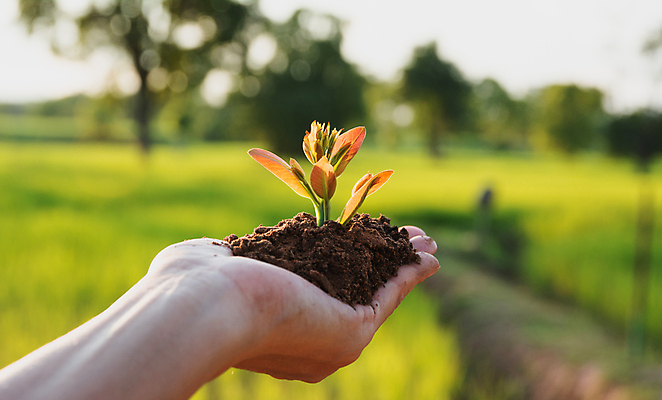 포토 JPG 해외이미지 나무 식물 손 지구 백그라운드 컨셉 잎 농업 자연 새로움 사람 사람없음 초록색 새싹 환경 정원 희망 흙 봄 성장 잡기 보호 농부 작음 심볼 유기농 먼지 유지 개발 돌봄 모종 밭일 생태학 옛날 해외포토 직업 웰빙 계절 교육 감정 산업 컬러 모션 신체부위 크기 생태계 파일형식 이미지허브
