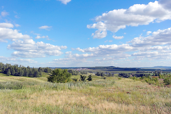 포토 JPG 해외이미지 나무 식물 여행 백그라운드 밭 자연 하늘 휴가 사람없음 야외 초록색 파란색 농장 맑음 흰색 숲 언덕 자작나무 해외포토 컬러 농업 날씨 생태계 파일형식 이미지허브