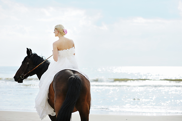 포토 JPG 해외이미지 동물 드레스 옷 여자 꽃 행복 문화 얼굴 파도 바다 꽃다발 결혼 2 결혼식 바람 함께함 관리 사랑 한명 정장 턱시도 성인 야외 물 태양 뷰티 유행 맑음 활발 흰색 잡기 우아함 승차 천진난만 해외포토 자연요소 식물 1 감정 컬러 컨셉 모션 날씨 사람 이벤트 신체부위 파일형식 이미지허브