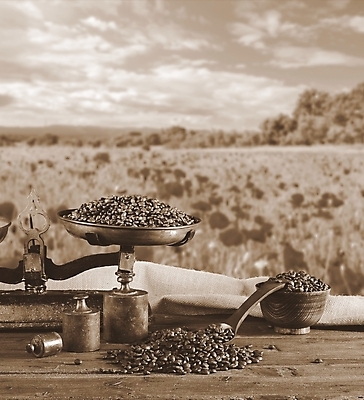 포토 JPG 해외이미지 사람없음 카페 해외포토 상점 파일형식 이미지허브