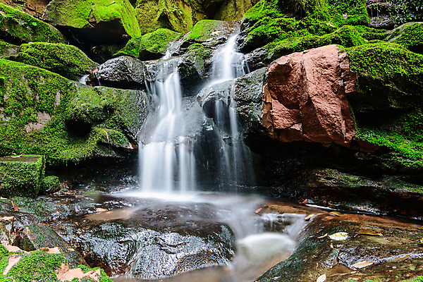 포토 JPG 해외이미지 식물 잎 모션 태국 자연 산 국립공원 이끼 사람없음 목재 초록색 물 폭포 젖음 흐름 개울 숲 시원함 열대우림 내추럴 깊이 해외포토 자연요소 나무 공원 아시아 컬러 컨셉 재료 강 생태계 파일형식 이미지허브
