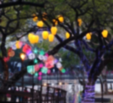 포토 JPG 해외이미지 모양 나무 디자인 백그라운드 매달리기 사람없음 장식 빛 컬러풀 축제 나뭇가지 등불 저녁 빛망울 블러 해외포토 식물 컬러 모션 조명 야간 파일형식 이미지허브