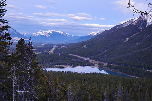 포토 JPG 해외이미지 나무 계절 공원 호수 여행 백그라운드 잎 캐나다 자국 자연 하늘 휴가 바닥 풍경 사람없음 야외 초록색 물 여름 파란색 강 컬러풀 뷰티 반사 환경 하이킹 연못 숲 내추럴 밴프 앨버타 인기 특별함 환상 강조 해외포토 자연요소 식물 공공시설 컬러 컨셉 북아메리카 레저 생태계 파일형식 이미지허브