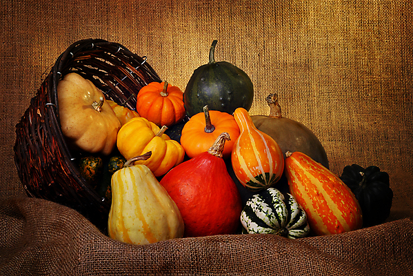 포토 JPG 해외이미지 식물 계절 음식 농업 오렌지 호박 휴가 사람없음 목재 가로 초록색 할로윈 수확 가을 시골 11월 박 추수감사절 10월 미니 옛날 해외포토 나무 산업 기독교 컬러 채소 과일 재료 날짜 파일형식 이미지허브