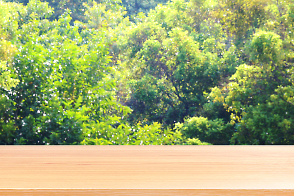 포토 JPG 해외이미지 나무 계절 백그라운드 잎 자연 탁자 하늘 표면 아침 파노라마 사람없음 야외 목재 장식 초록색 여름 빛 햇빛 태양 우주 정원 맑음 봄 공백 흰색 신선 널 상품 정상 소프트포커스 숲 갑판 계산대 책상 레이아웃 보케 내추럴 블러 해외포토 주간 자연요소 식물 컬러 가구 배_교통 재료 날씨 촬영기법 생태계 파일형식 이미지허브