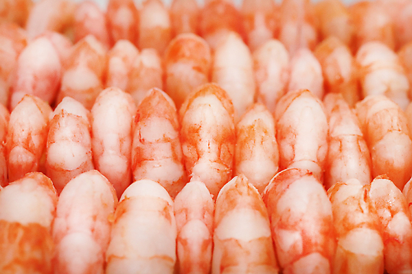 포토 JPG 해외이미지 음식 새우 육류 요리 사람없음 빨간색 식사 흰색 신선 해산물 고립 삶기 해외포토 컬러 식재료 갑각류 파일형식 이미지허브