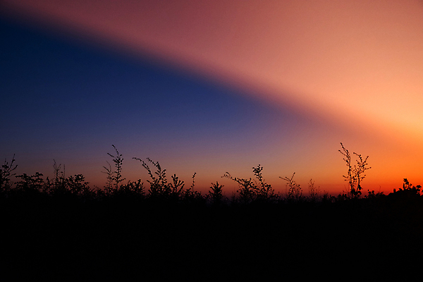 포토 JPG 해외이미지 구름 계절 실루엣 유럽 밭 농업 오렌지 자연 하늘 아침 독일 그림자 풍경 사람없음 야외 빨간색 파란색 빛 컬러풀 태양 어둠 황혼 일몰 봄 새벽 시골 저녁 내추럴 밭일 몽환 수평선 해외포토 주간 자연요소 나라 산업 컬러 컨셉 과일 촬영기법 노을 야간 생태계 파일형식 이미지허브