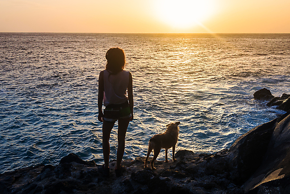 포토 JPG 해외이미지 동물 라이프스타일 여자 행복 실루엣 섬 여행 오렌지 자연 하늘 아침 휴가 휴식 함께함 사랑 한명 사람 풍경 야외 물 반려동물 세계 태양 뷰티 평화 일출 맑음 침묵 일몰 새벽 우정 자유 시골 개 주말 마법 해외포토 주간 자연요소 1 감정 컨셉 과일 포유류 날씨 촬영기법 생활 친구 노을 소리 생태계 파일형식 이미지허브