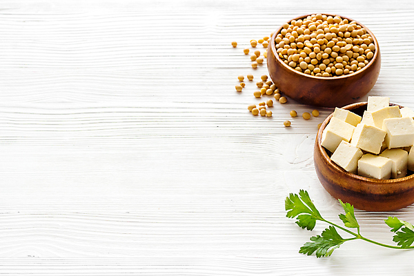 포토 JPG 해외이미지 음식 채소 텍스트 콩 건조 건강 식이요법 씨앗 동양인 사람없음 우주 신선 큐브 유기농 날것 단백질 대두 채식주의자 카피스페이스 비건 해외포토 식물 웰빙 곡류 인종 공백 채식 영양소 파일형식 이미지허브