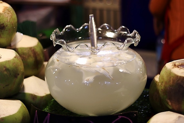 포토 JPG 해외이미지 나무 음료 음식 여행 백그라운드 잎 과일 자연 유리 탁자 휴가 디저트 건강 사람없음 목재 초록색 물 여름 뷰티 갈색 얼음 주스 우유 흰색 신선 소나무 칵테일 달콤 유기농 코코넛 밀짚 내추럴 해외포토 자연요소 식물 웰빙 계절 컬러 가구 재료 재질 유제품 주류 맛 짚 생태계 파일형식 이미지허브