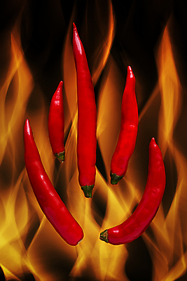 포토 JPG 해외이미지 백그라운드 채소 재료 고추 불 불꽃 사람없음 빨간색 검은색 뜨거움 양념 향신료 후추 해외포토 자연요소 컬러 향미료 파일형식 이미지허브