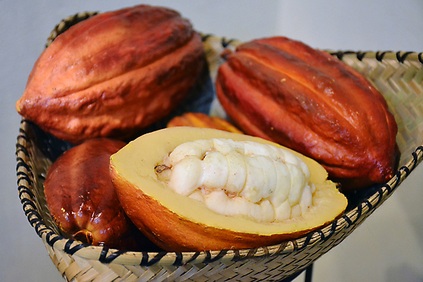 포토 JPG 해외이미지 교육 아시아 문화 음료 음식 동양인 사람없음 초콜릿 중국 어둠 정보 도시 뜨거움 역사 도심 맛 혼합 박물관 타운 코코아 발견 차이나타운 카카오 억울 해외포토 감정 나라 컨셉 디저트 인종 관광지 파일형식 이미지허브