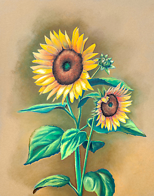 포토 JPG 해외이미지 식물 전통 손 디자인 계절 꽃잎 꽃 종이 꽃다발 백그라운드 잎 꽃무늬 농업 오렌지 일러스트 자연 해바라기 미술 씨앗 사람없음 그래픽 장식 초록색 컬러풀 태양 뷰티 노란색 정원 맑음 수확 벚꽃 그림 원예 질감 복고 내추럴 구성 파스텔톤 해외일러스트 자연요소 산업 컬러 무늬 과일 날씨 문화예술 취미 신체부위 생태계 파일형식 이미지허브