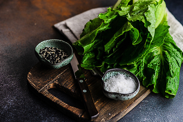 포토 JPG 해외이미지 식기 채소 탁자 사람없음 샐러드 신선 칼 향신료 올리브 냅킨 소금 깨 깨소금 해외포토 열매 음식 가구 식재료 조미료 향미료 파일형식 이미지허브