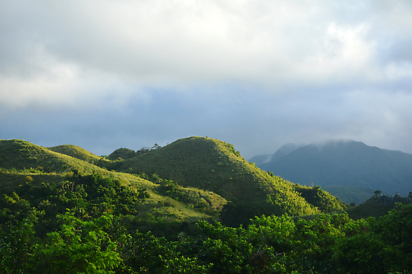 포토 JPG 해외이미지 주간 나무 아시아 여행 잎 자연 아침 휴가 산 풍경 사람없음 초록색 여름 태양 시골 도시 정상 고도 호기심 타운 내추럴 해외포토 자연요소 식물 계절 감정 나라 컬러 컨셉 생태계 파일형식 이미지허브