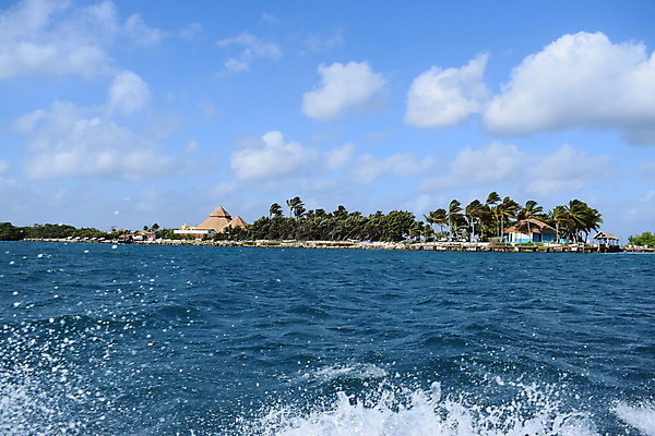 포토 JPG 해외이미지 나무 모래 바다 섬 여행 자연 하늘 휴가 손바닥 풍경 사람없음 야외 물 여름 파란색 야자수 맑음 흰색 휴양지 코코넛 카리브해 이국적 파라다이스 수평선 해외포토 자연요소 식물 손 계절 컬러 과일 날씨 장소 생태계 파일형식 이미지허브