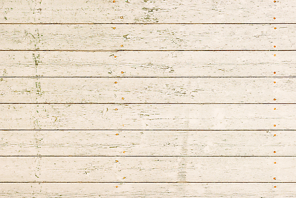 포토 JPG 해외이미지 벽 백그라운드 패턴 자연 탁자 표면 날씨 사람없음 목재 빛 페인트 회색 수확 시골 판넬 얼룩 거친 널 책상 질감 내추럴 구식 그런지 수목 옛날 카피스페이스 해외포토 나무 컬러 가구 무늬 농업 재료 공백 생태계 파일형식 이미지허브