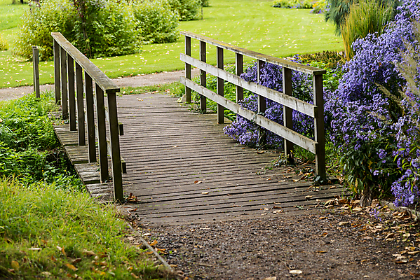 포토 JPG 해외이미지 나무 식물 공원 꽃 길 분홍색 여행 백그라운드 잎 자연 하늘 영국 잉글랜드 잔디 사람없음 야외 초록색 파란색 컬러풀 뷰티 갈색 노란색 환경 정원 보라색 침묵 봄 흰색 시골 개화 숲 붓꽃 내추럴 제라늄 해외포토 계절 공공시설 유럽 컬러 소리 생태계 파일형식 이미지허브