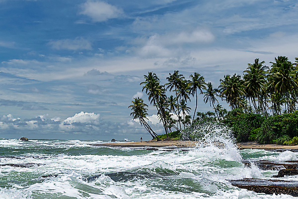 포토 JPG 해외이미지 나무 구름 아시아 모래 파도 바다 여행 자연 하늘 휴가 휴식 손바닥 풍경 사람없음 야외 초록색 물 여름 파란색 모래사장 햇빛 태양 맑음 침묵 흰색 만 뜨거움 서핑 휴양지 분무기 코코넛 내추럴 스리랑카 파라다이스 해외포토 자연요소 식물 손 계절 나라 컬러 컨셉 과일 날씨 소리 장소 수상스포츠 생태계 파일형식 이미지허브