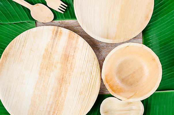 포토 JPG 해외이미지 잎 실내 사람없음 하이앵글 자연보호 에코 친환경 에코라이프 나무숟가락 나무그릇 나무받침 나무접시 나무포크 친환경제품 제로웨이스트 나무배경 해외포토 식물 라이프스타일 그릇 접시 뷰포인트 백그라운드 포크 자연 내부 목재 환경 숟가락 그린캠페인 보호 사회이슈 받침대 파일형식 이미지허브