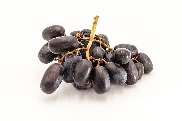 포토 JPG 해외이미지 식물 계절 열매 음식 백그라운드 잎 농업 과일 자연 포도 디저트 함께함 건강 사람없음 빨간색 초록색 여름 파란색 세트 노란색 와인 보라색 주스 젖음 수확 가을 흰색 나뭇가지 신선 달콤 떨어짐 다발 수집 포도나무 내추럴 고립 밭일 숙성 양조장 채식주의자 해외포토 나무 산업 음료 컬러 컨셉 주류 맛 과일나무 생태계 채식 파일형식 이미지허브