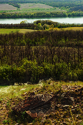 포토 JPG 해외이미지 나무 호수 밭 자연 거리 풍경 잔디 사람없음 목재 초록색 물 파란색 강 햇빛 반사 계곡 맑음 활발 매트 안개 바위 시골 신선 오픈 정상 숲 땅 깃털 언덕 멀리 내추럴 산악지대 생태학 석판 해외포토 자연요소 식물 교육 컬러 컨셉 농업 재료 날씨 산 태양 돌_바위 생태계 파일형식 이미지허브