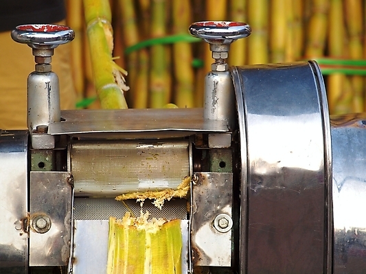 포토 JPG 해외이미지 식물 음료 음식 줄기 지팡이 손잡이 사람없음 금속 기계 장비 설탕 롤러 볼트 언론 섬유 짜기 철강 해외포토 모션 재질 공구 직물 파일형식 이미지허브