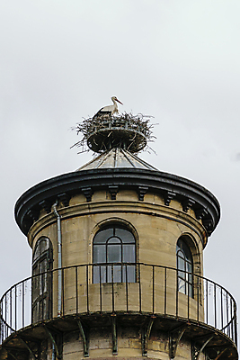 포토 JPG 해외이미지 동물 야생동물 분홍색 자연 조류 하늘 호텔 동양인 성인 사람없음 야외 건물 여름 파란색 마을 탑 검은색 봄 프랑스 흰색 둥지 보호 심볼 깃털 부리 흐림 동물상 황새 해외포토 건축물 계절 유럽 컬러 컨셉 숙소 날씨 사람 인종 조형물 생태계 파일형식 이미지허브