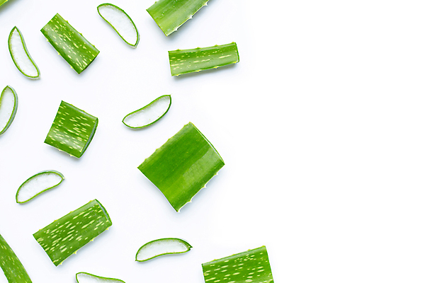 포토 JPG 해외이미지 사람없음 뷰티 촉촉함 피부관리 흰배경 수분크림 알로에 알로에베라 해외포토 식물 백그라운드 화장품 젖음 흰색 파일형식 이미지허브