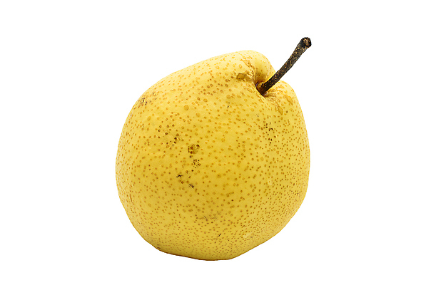 포토 JPG 해외이미지 음식 줄기 백그라운드 과일 자연 건강 사람없음 노란색 중국 흰색 신선 달콤 오브젝트 유기농 내추럴 고립 숙성 해외포토 식물 웰빙 아시아 컬러 맛 생태계 파일형식 이미지허브