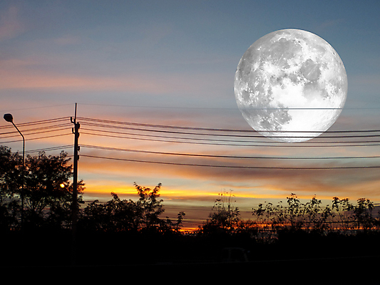 포토 JPG 해외이미지 캐릭터 계절 실루엣 선 바다 과학 백그라운드 자연 하늘 추상 그림자 사람없음 빨간색 물 파란색 빛 태양 우주 검은색 어둠 힘 일몰 새벽 행성 보름달 달 흰색 원형 야간 저녁 신비 달빛 가득함 코코넛 분화구 천문학 궤도 내추럴 여의주 해외포토 자연요소 도형 교육 컬러 컨셉 무늬 과일 촬영기법 노을 생태계 화산 파일형식 이미지허브