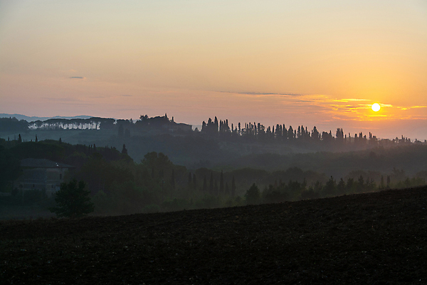 포토 JPG 해외이미지 나무 유럽 밭 농업 오렌지 자연 하늘 풍경 사람없음 야외 초록색 빛 햇빛 농경지 일출 이탈리아 새벽 안개 시골 언덕 밭일 뿌연 토스카나 해외포토 자연요소 식물 나라 산업 컬러 과일 날씨 태양 농장 노을 생태계 파일형식 이미지허브