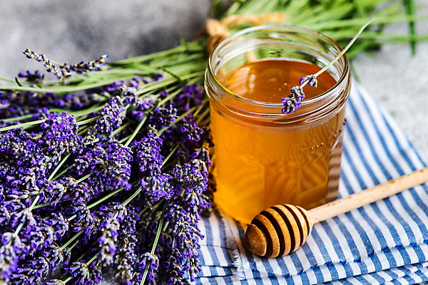 포토 JPG 해외이미지 꽃 실내 사람없음 아웃포커스 꿀 라벤더 허니디퍼 해외포토 식물 촬영기법 내부 도구 허브 파일형식 이미지허브