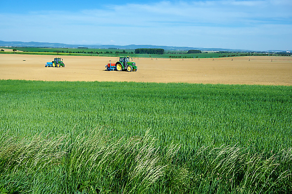 포토 JPG 해외이미지 식물 계절 밭 농업 하늘 옥수수 씨앗 풍경 사람없음 농작물 농장 기계 흙 봄 장비 수확 성장 시골 업무 농부 낟알 땅 밀 유기농 트랙터 밭일 심기 줄서기 파종 세련 해외포토 직업 웰빙 산업 모션 곡류 농사 작업 농기계 특수차량 파일형식 이미지허브