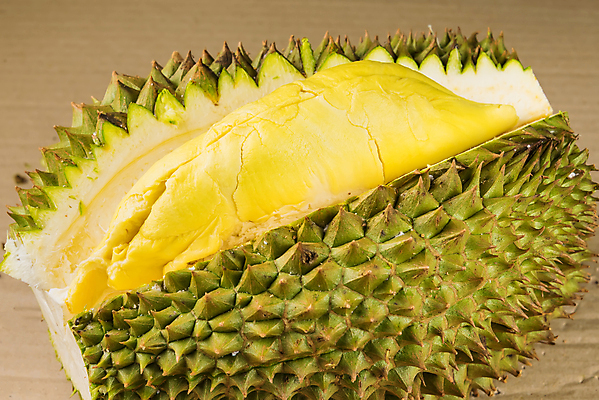 포토 JPG 해외이미지 스튜디오촬영 아시아 음식 백그라운드 농업 과일 재료 태국 자연 건강 동양인 사람없음 초록색 컬러풀 노란색 흰색 신선 가시 시장 달콤 맛 흰배경 유기농 날것 냄새 날카로움 동쪽 스파이크 건강식 남쪽 내추럴 고립 숙성 식용 이국적 해외포토 웰빙 나라 산업 컬러 컨셉 실내 인종 방향 생태계 파일형식 이미지허브