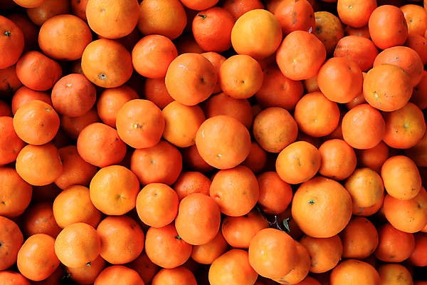 포토 JPG 해외이미지 식물 백그라운드 잎 꽃무늬 자연 사람없음 성장 신선 질감 이국적 해외포토 꽃 무늬 생태계 파일형식 이미지허브