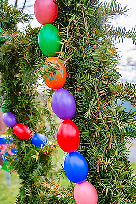 포토 JPG 해외이미지 나무 전통 분홍색 목걸이 휴가 사람없음 야외 장식 세로 초록색 파란색 컬러풀 축제 봄 플라스틱 묘사 부활절계란 침엽수 전나무 해외포토 식물 계절 컬러 장신구 재질 부활절 계란 파일형식 이미지허브