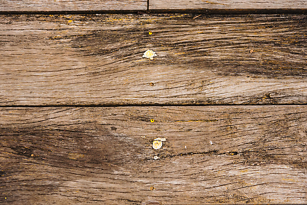 포토 JPG 해외이미지 나무 디자인 벽 가구 백그라운드 패턴 자연 표면 날씨 추상 바닥 건조 사람없음 목재 장식 빛 갈색 어둠 회색 수확 시골 소나무 판넬 거친 널 낟알 책상 질감 복고 잡동사니 내추럴 외양간 그런지 수목 옛날 진짜 해외포토 식물 컬러 생활용품 무늬 농업 재료 생태계 파일형식 이미지허브