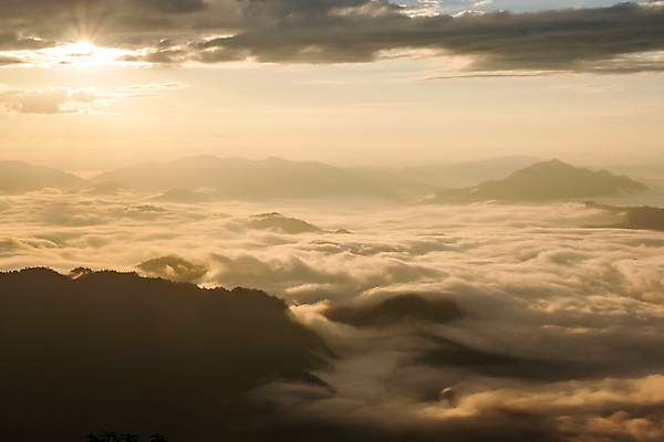 포토 JPG 해외이미지 나무 구름 계절 공원 여행 백그라운드 태국 자연 하늘 아침 산 개구리 풍경 사람없음 야외 빛 뷰티 일출 하이킹 회색 안개 가을 흰색 숲 언덕 내추럴 뿌연 해외포토 주간 자연요소 식물 공공시설 아시아 컬러 레저 날씨 양서류 노을 생태계 파일형식 이미지허브