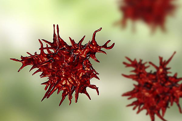 포토 JPG 해외이미지 과학 백그라운드 일러스트 생물 세포 건강 사람없음 약 3D 질병 유기농 생물학 감염 미생물 박테리아 기생충 해외일러스트 웰빙 교육 의학 바이러스 디지털합성 파일형식 이미지허브