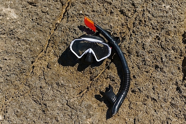 포토 JPG 해외이미지 옷 수영복 스포츠 바다 여행 휴식 고글 가면 취미 사람없음 물 여름 검은색 잠수부 플라스틱 다이빙 고무 기어 해외포토 자연요소 계절 컬러 컨셉 재질 수영 전문직 수중스포츠 파일형식 이미지허브