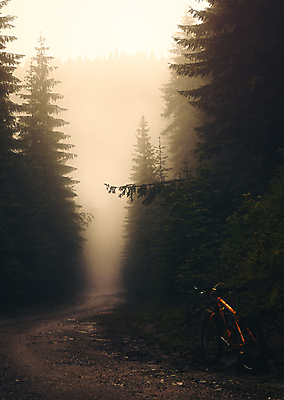 포토 JPG 해외이미지 주간 나무 사람없음 야외 가을풍경 자전거 안개 숲 루마니아 해외포토 자연요소 식물 유럽 날씨 풍경 바이크 파일형식 가을_계절 이미지허브