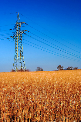 포토 JPG 해외이미지 식물 산업 선 백그라운드 밭 통신 하늘 사람없음 파란색 빛 노란색 금속 힘 에너지 과학기술 개울 코드 정상 위험 투표 묘사 철사 볼트 봉 철탑 세대 돛대 변압기 분배 전압 현재 공급 해외포토 컬러 컨셉 농업 재질 기술 강 탑 공구 선거 파일형식 이미지허브