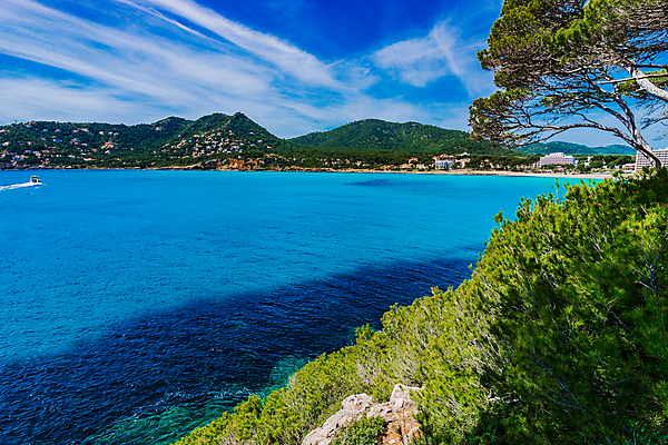 포토 JPG 해외이미지 나무 유럽 바다 섬 여행 건축양식 자연 하늘 리조트 휴가 산 파노라마 풍경 사람없음 야외 물 여름 파란색 관광지 뷰티 맑음 소나무 만 보트 스페인 언덕 남쪽 명승지 스페인어 해외포토 자연요소 식물 계절 건축 나라 컬러 배_교통 날씨 촬영기법 방향 생태계 파일형식 이미지허브
