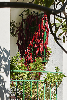 포토 JPG 해외이미지 전통 꽃 유럽 줄 벤치 주택 건조 매달리기 그림자 사람없음 장식 빨간색 햇빛 우주 정원 맑음 화환 성장 흰색 시골 오픈 뜨거움 양념 그룹 닫기 다발 향신료 지역 향료 후추 칠레 셔터 밭일 특별함 많음 해외포토 식물 나라 컬러 컨셉 의자 모션 날씨 건물 태양 남아메리카 향기 냄새 향미료 파일형식 이미지허브